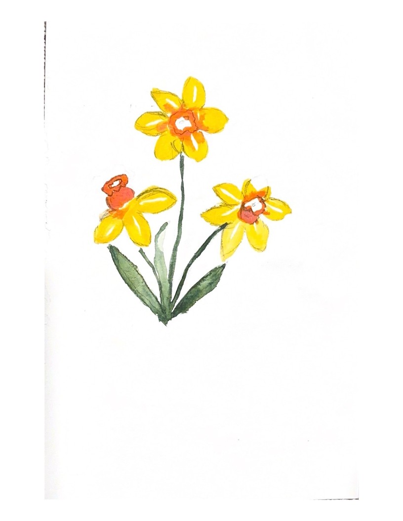 Green leaves low veld